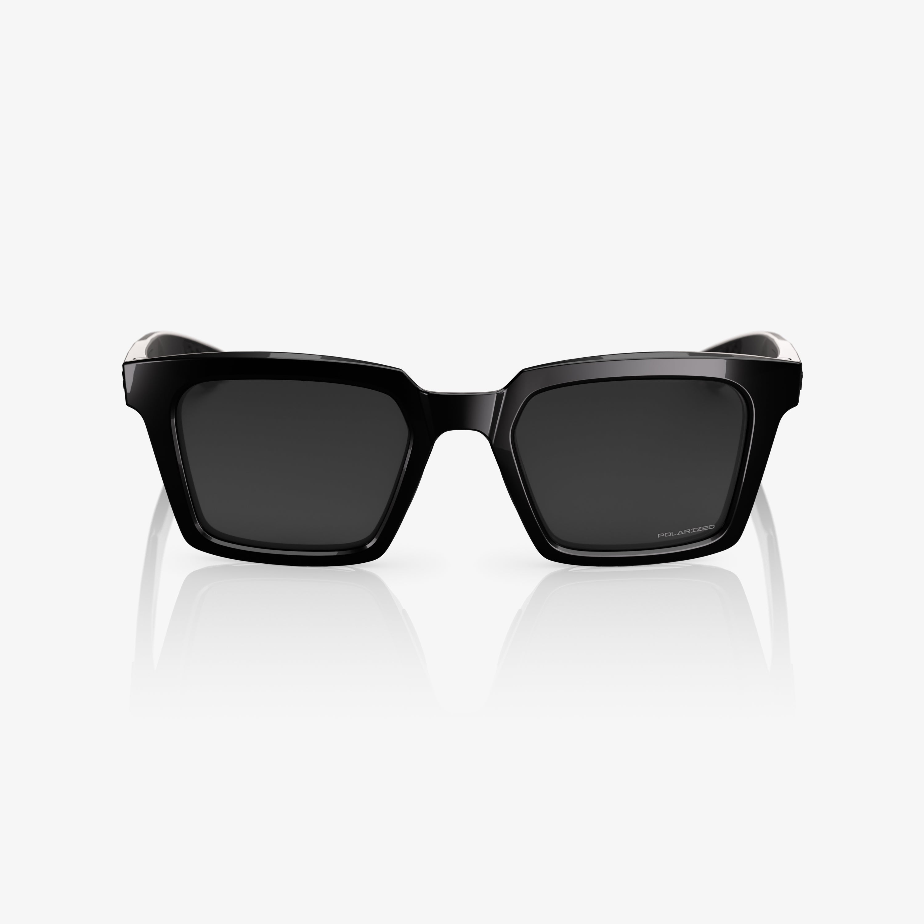 ERBA Polished Black Grey Polarized Lens - Secondary